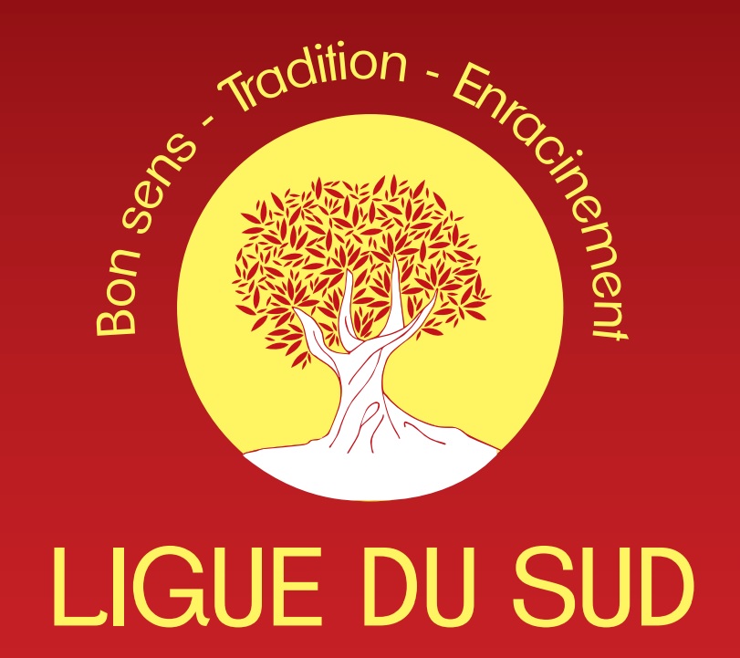 Logo de Ligue du Sud